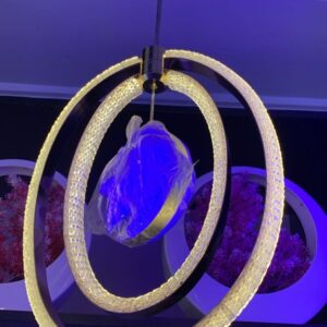 Modern LED Ring Pendant Light